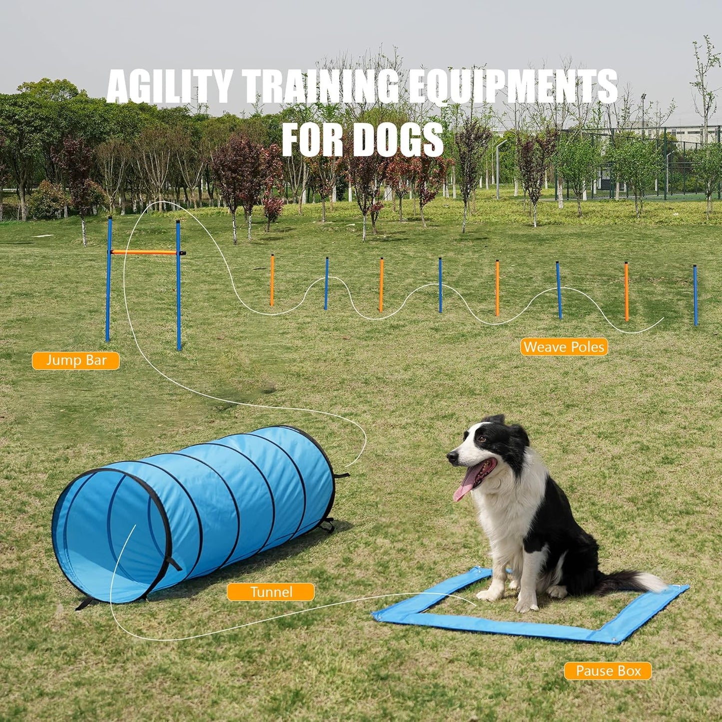 Dog Agility Training Equipment Pet Obstacle Training Course Kit Dog Outdoor Games with Tunnel, Adjustable Hurdle, Pause Box, Toys and Carrying Bag