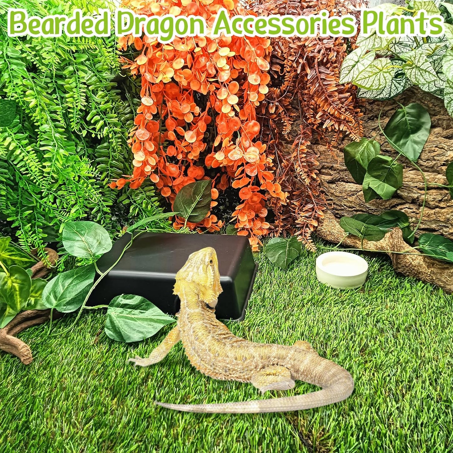 Hamiledyi Reptile Hideouts Natural Coconut Shells Hut Hermit Crab Climbing Toys and Tank Habitat Decorations 2 PCS Terrarium Hanging Plants for Lizard, Snake, Bearded Dragon, Leopard Gecko, Chameleon