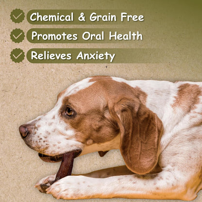 Top Dog Chews - 12 Inch Standard 12 Pack Bully Sticks, Long Lasting, 100% Natural Beef, Free Range Grass Fed, High Protein, Supports Dental Health Dog Treat, 12 Pack