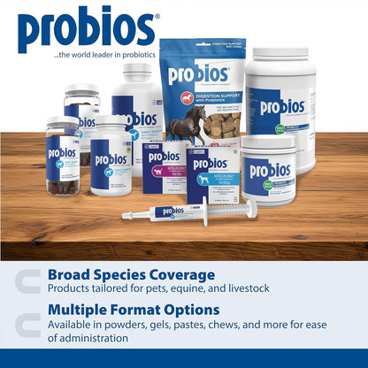 Probios Probiocin Oral Pet Gel for Dogs and Cats, Probiotic Supplement for Digestive & Immune Support, 15 g Tube (Pack of 2)
