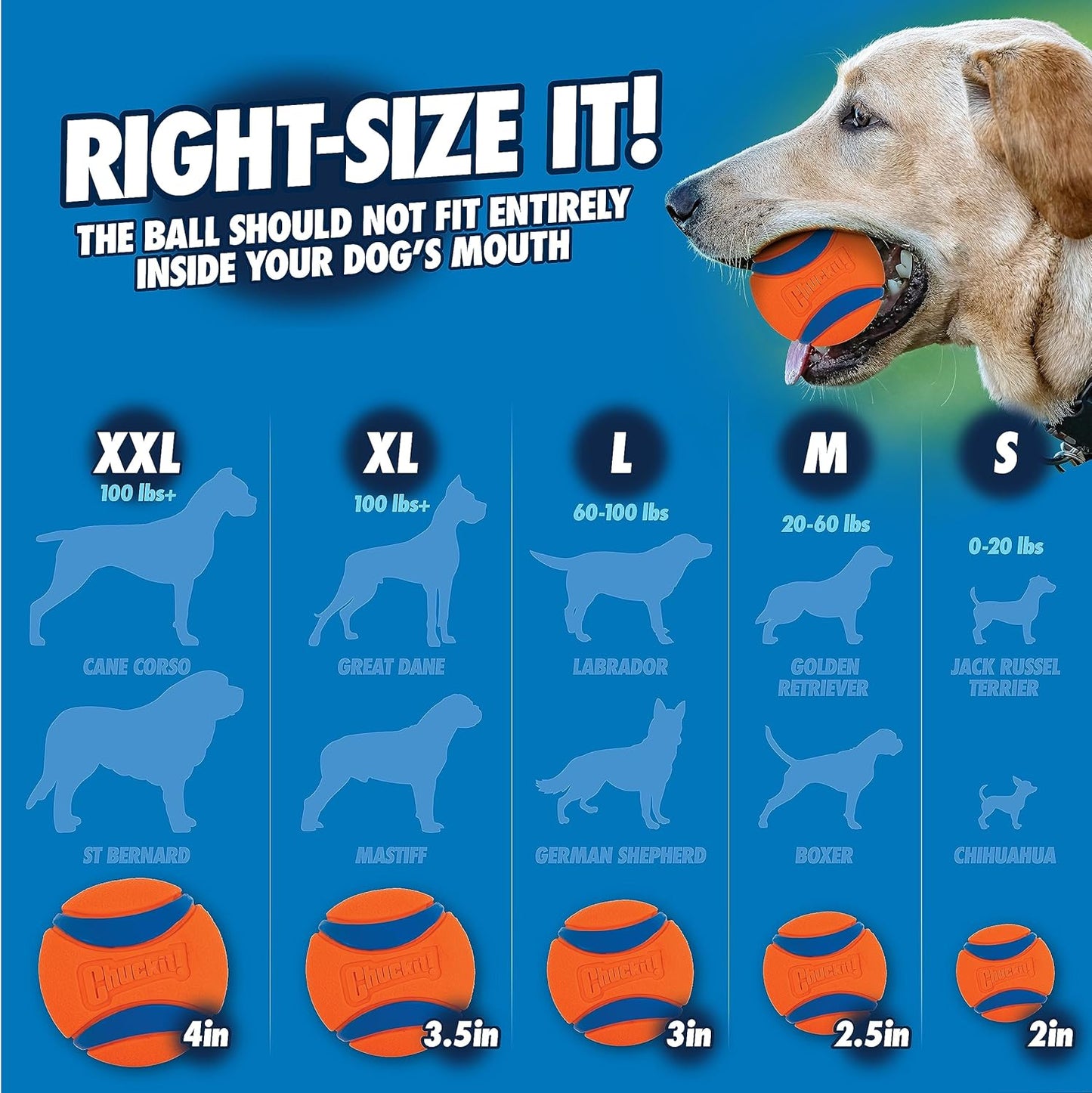 Chuckit! Fetch & Fold 25M Dog Ball Launcher, 25" Length, Includes Medium Ball (2.5") For Dogs 20-60 Pounds