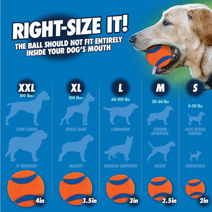 Chuckit! Fetch & Fold 25M Dog Ball Launcher, 25" Length, Includes Medium Ball (2.5") For Dogs 20-60 Pounds