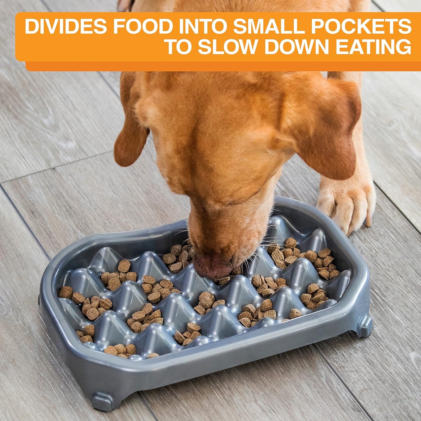 Neater Pet Brands Neater Slow Feeder Dog Bowls, Slows Down Fast Eaters to Help Digestion & Prevent Overeating, Non-Slip Food Bowl, BPA-Free, Holds 2.5 Cup of Food for Small to Medium Breed or Puppy