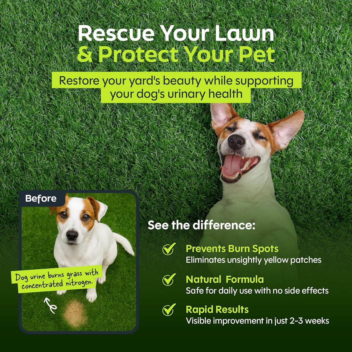 Green Relief Dog Urine Neutralizer for Lawn - Natural Grass Saver Powder Supplement with L-Methionine, Cranberry & Probiotics - Prevents Yellow Patches from Dog Pee - Made in USA