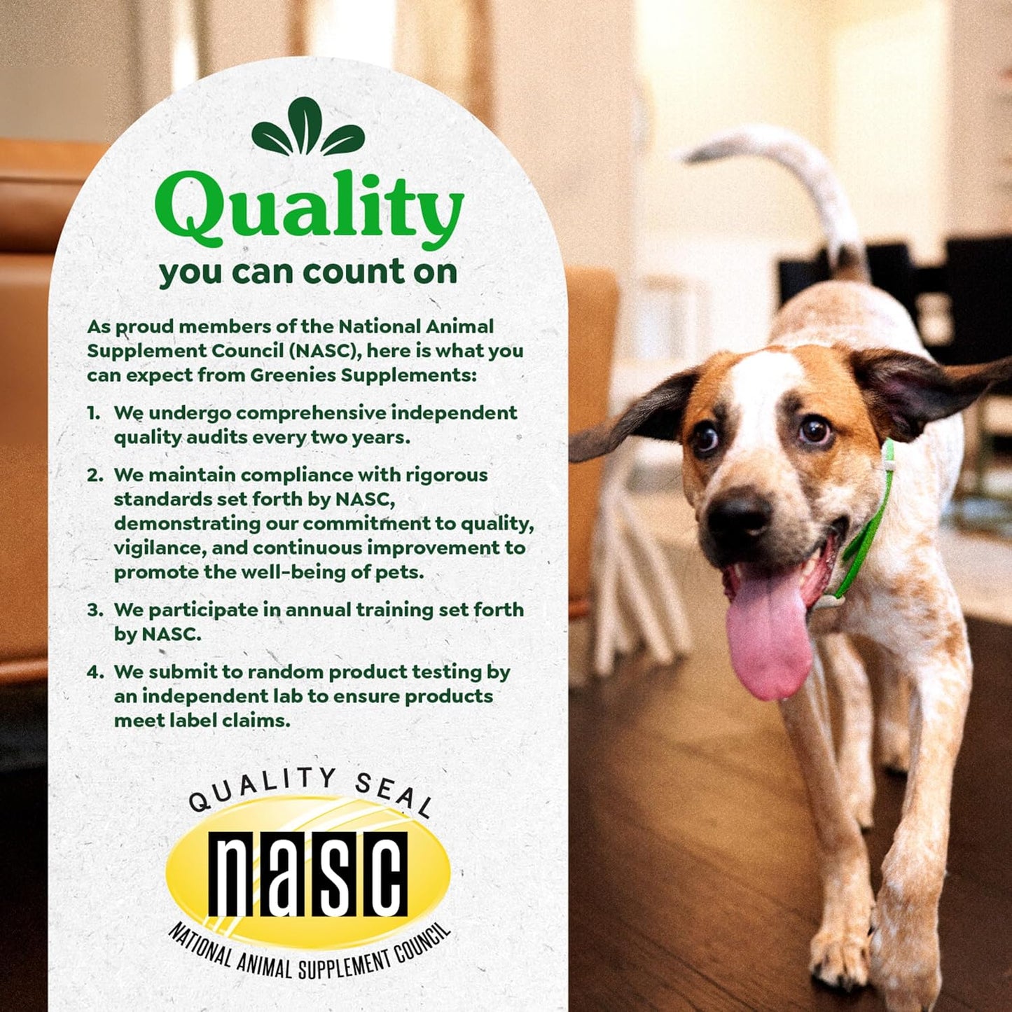 Greenies Supplements Digestive Health Probiotics for Dogs Chicken Flavor, 15.6 oz. Tub of 80 ct.