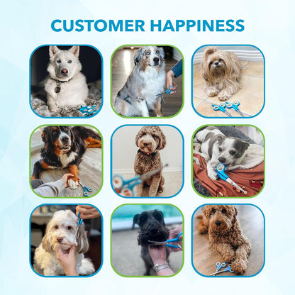 Boshel Razor-Sharp Stainless Steel Dog Grooming Scissors for Grooming Professionals at Home with Rounded Safety Tips, 2 Pack