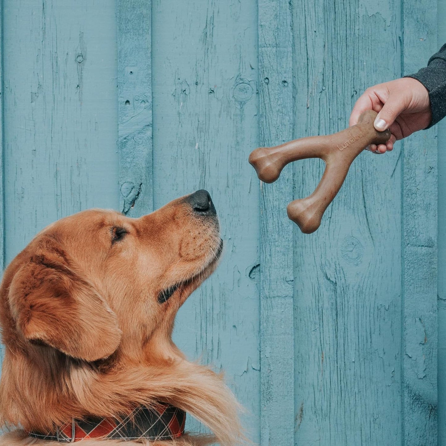 Lumabone Real Bacon Medium 3-Pack Durable Dog Chew Toys for Aggressive Chewers, Made in USA – Wishbone, Zaggler, Stick