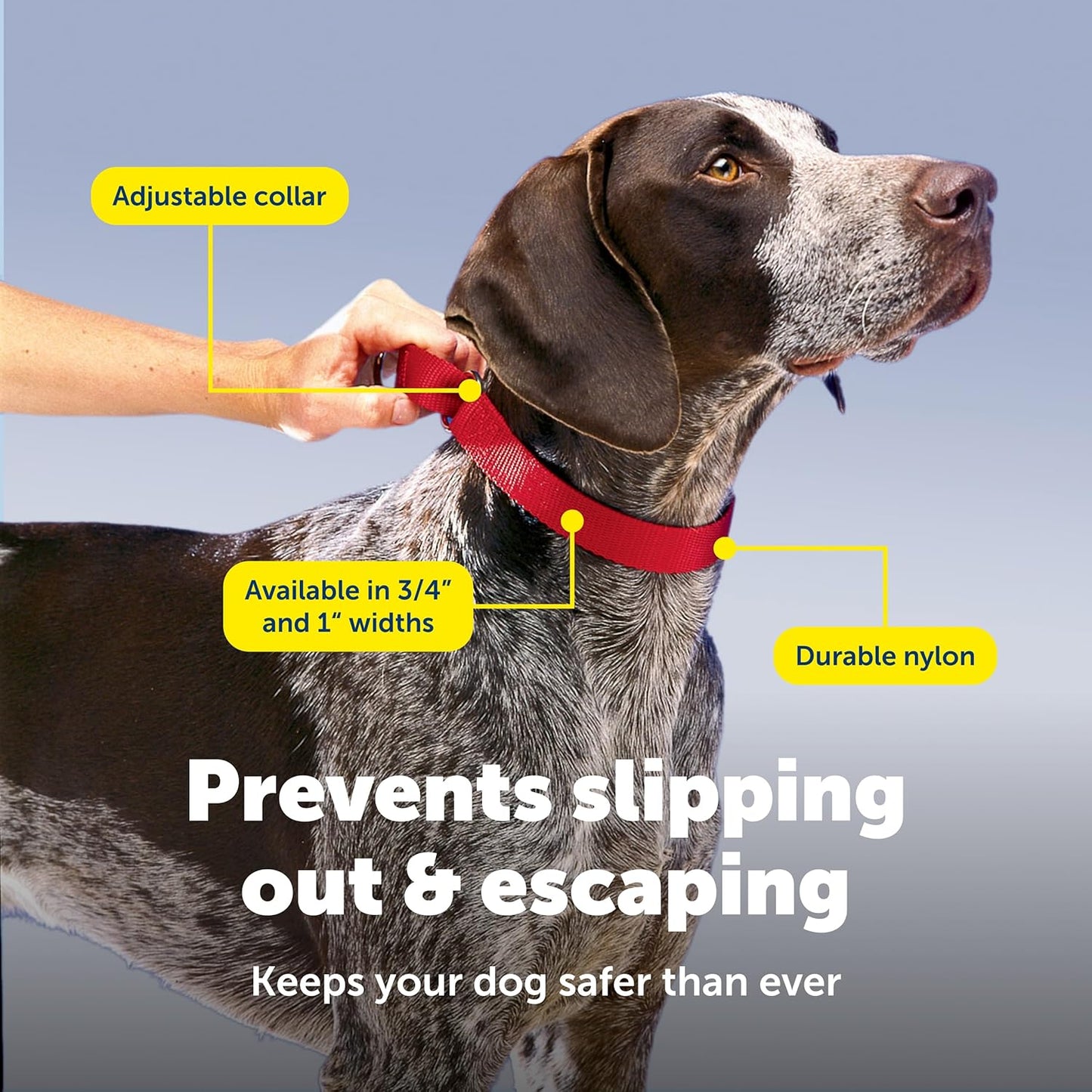 PetSafe Adjustable Martingale Collar - Only Tightens When Dogs Pull, Prevents Slipping Out - Helps with Strong Pullers, Increased Control - Alternative to Choke Collar - 1", Medium, Red