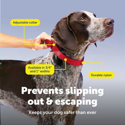 PetSafe Adjustable Martingale Collar - Only Tightens When Dogs Pull, Prevents Slipping Out - Helps with Strong Pullers, Increased Control - Alternative to Choke Collar - 1", Medium, Red