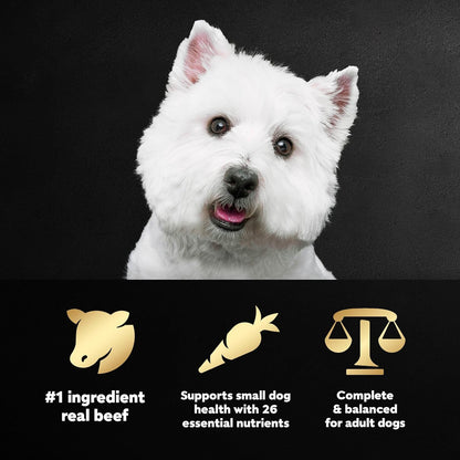 Cesar Small Breed Dry Dog Food Filet Mignon Flavor and Spring Vegetables Garnish, 5 lb. Bag