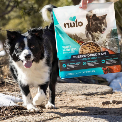 Nulo Freeze-Dried Raw Chicken Recipe with Blueberries Complete and Balanced Dry Dog Food Kibble, 8 Ounce Bag
