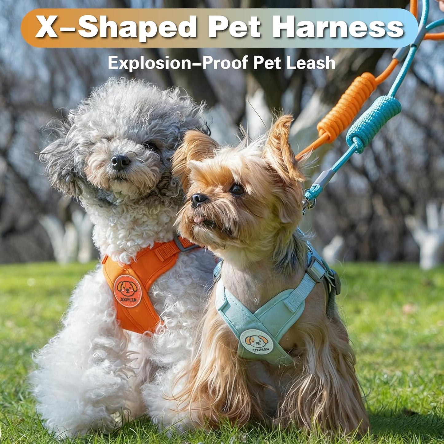 Dog Harness with Leash Set, Puppy Soft Vest No Choke No Pull, Adjustable Neck and Chest, Lightweight Harness and Anti-Twist Pet Leash Combo for Small to Medium Dogs (Pink, M-Medium)