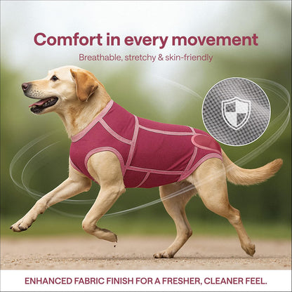 Dog Surgery Recovery Suit for Medium Dogs – Soft Cotton-Spandex Post-Surgery Bodysuit with Snap Buttons – Includes Chew Toy, Hygiene Sticker & Zip Bag – Cone Alternative for Medium Breeds