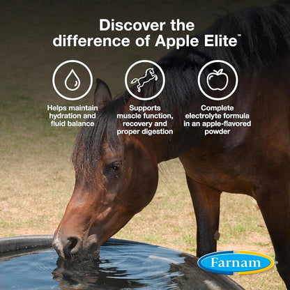 Farnam Apple Elite Electrolyte Supplement for Horses, Replaces Vital Minerals, Encourages Hydration, No Added Sugar, 20 Lbs., 160 Day Supply