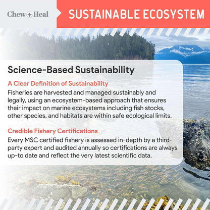 Pure Wild Alaskan Salmon Oil for Dogs - 8 oz. Pump Cap - Toxin Free Dog Fish Oil Rich in Omega-3 and 6, Vitamin D, EPA, and DHA for Healthy Skin and Coat - Pink, COHO, and Sockeye Salmon