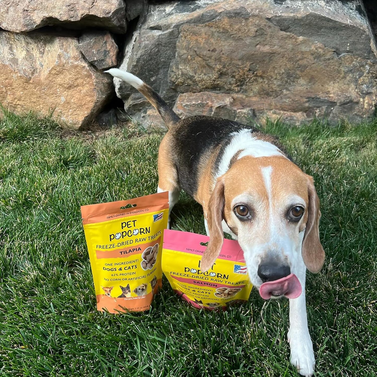 Freeze-Dried Raw Treats - Salmon - 2.5oz Bag, Dog & Cat Snacks, Single Ingredient, Natural, Pet Food Topper-Reward, Protein‑Packed Fish