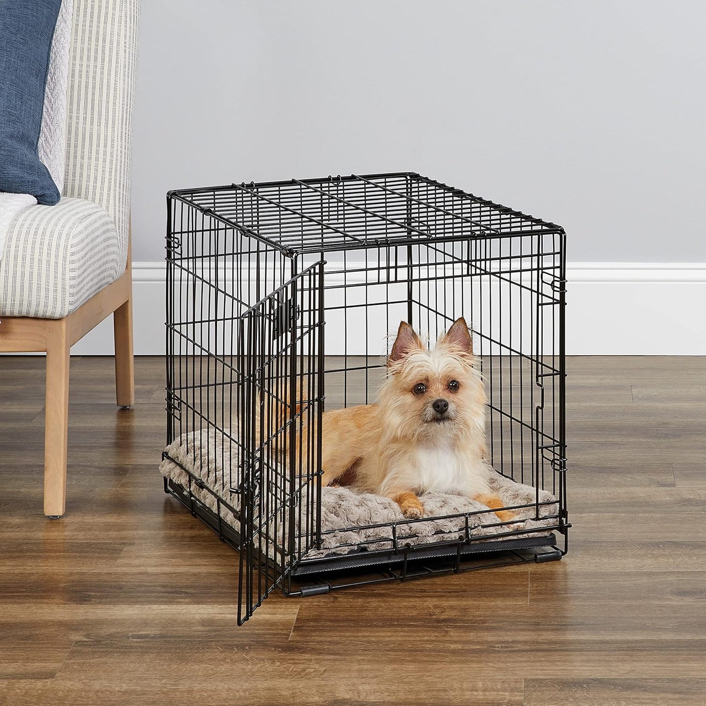 MidWest Homes for Pets 24-Inch iCrate Folding Dog Crate with Divider Panel, Leak-Proof Tray & Secure Latches – Metal Wire Kennel for Small Breeds – Portable, Durable & Easy to Assemble