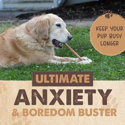 Mighty Paw Long Lasting 12" Bully Sticks for Dogs - All Natural Grass Fed Beef Chews. Lower Odor Dog Bully Sticks for Large Dogs, Medium and Small Breeds. Single Ingredient Treats