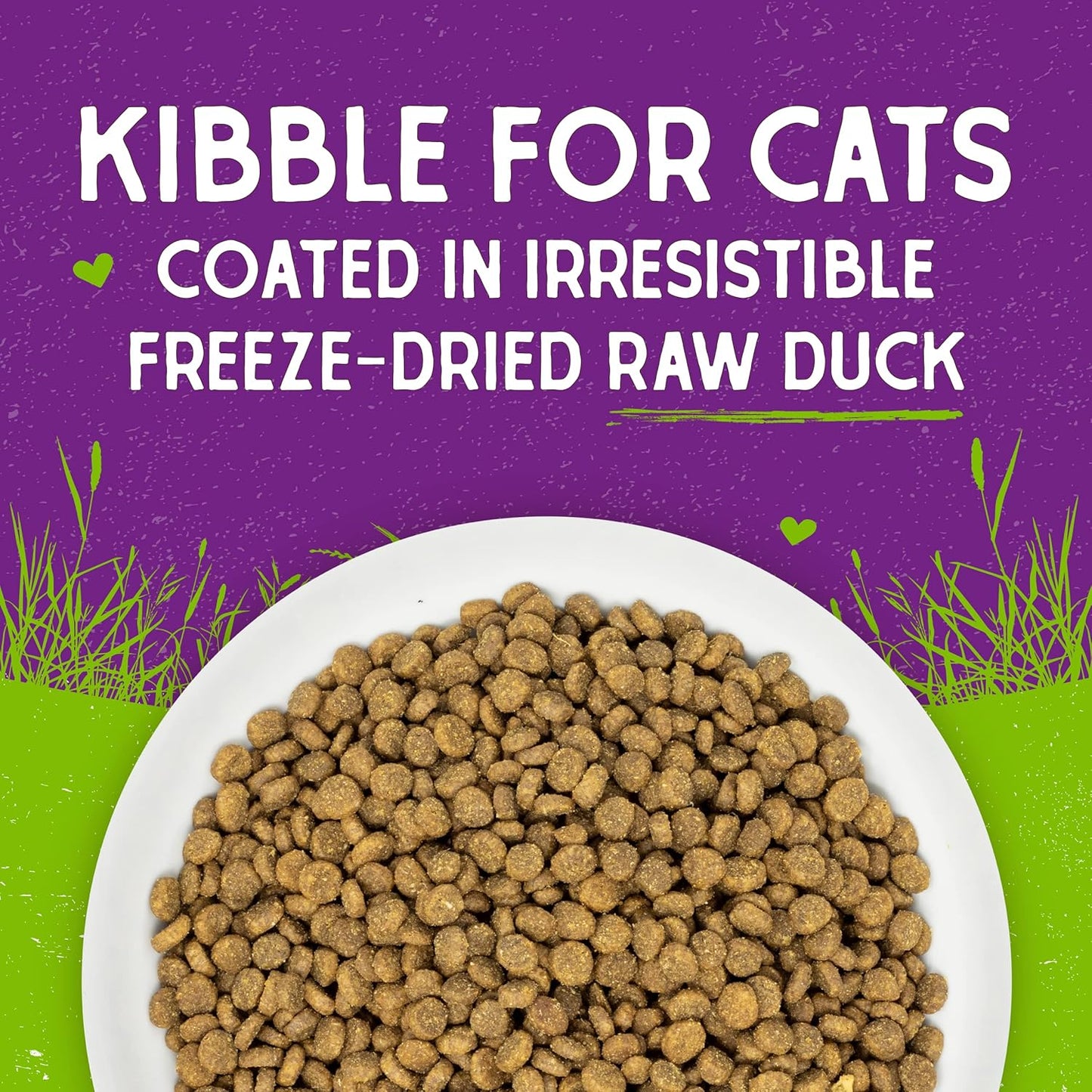 Stella & Chewy's Raw Coated Cat Food - High Protein, Grain-Free Kibble with Cage-Free Duck - Premium Digestive Support with Probiotics - Natural Small Kibble - Perfect For Picky Eaters - 2.5 lb Bag