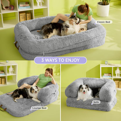 LE SURE Foldable Human Dog Bed witth Dog Birthday Cake Toy