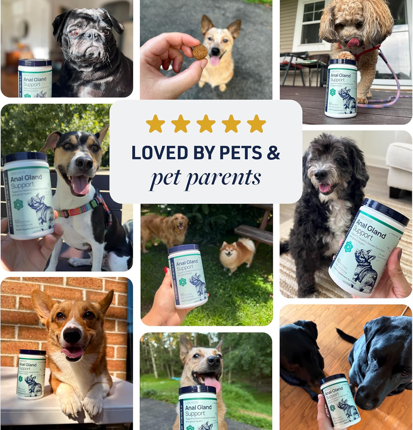 Veterinary Formula Anal Gland Support for Dogs – Vet-Formulated No Scoot Chews with Pumpkin, Ginger, Agave Inulin & Probiotics – Supports Scooting, Stool Quality & Digestive Health, 60 Soft Chews