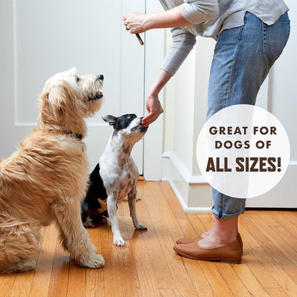 Rocco & Roxie Beef Jerky Dog Treats 1 lb | Soft Training Snacks Made in USA | High Value Beef Jerky for Dogs, Small, Large Breeds, Seniors, and Puppies | Natural Chews for Rewarding Good Behavior