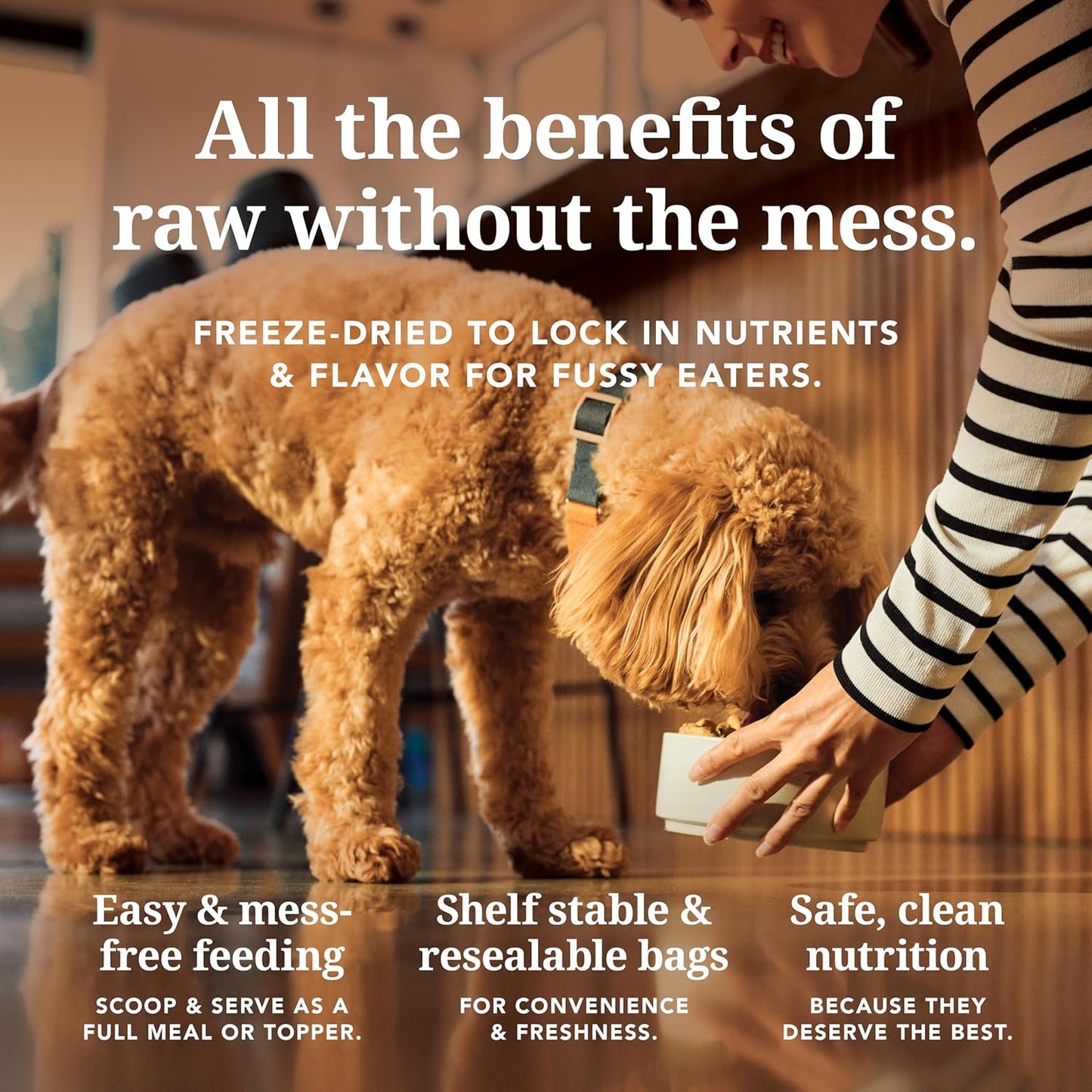 K9 Natural Freeze Dried Dog Food Beef 4lb