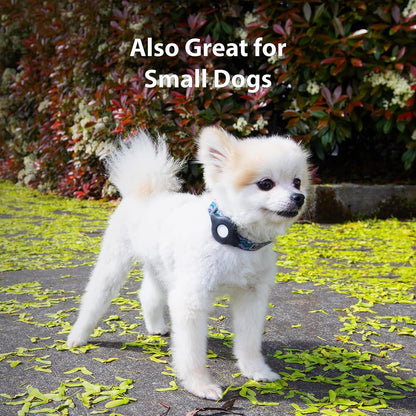 Elevation Lab AirTag Cat Collar Mount - TagVault™ - The Secure & Compact AirTag Holder for Cats | Doesn't Dangle, for Small Dogs Too