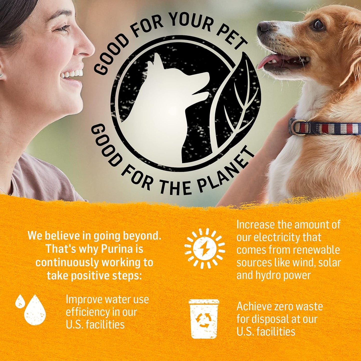 Purina Beyond Chicken, Carrot and Pea Ground Grain Free Wet Dog Food Natural Pate with Added Vitamins and Minerals - (Pack of 12) 13 oz. Cans