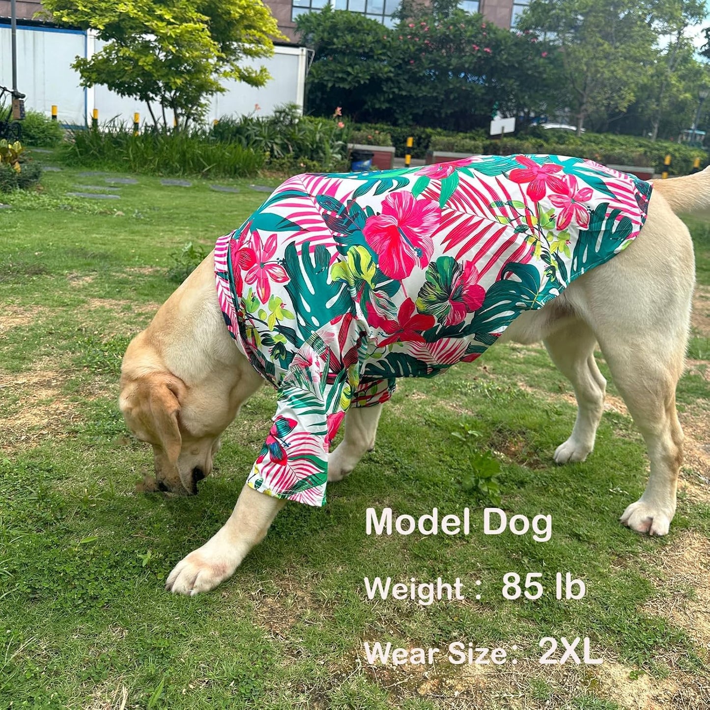 Dog Shirt, Hawaiian Summer Colorful Printed Pet Clothing Breathable and Cool Beach Style Big Dog Boy and Girl Shirt (4X Large, Flower)