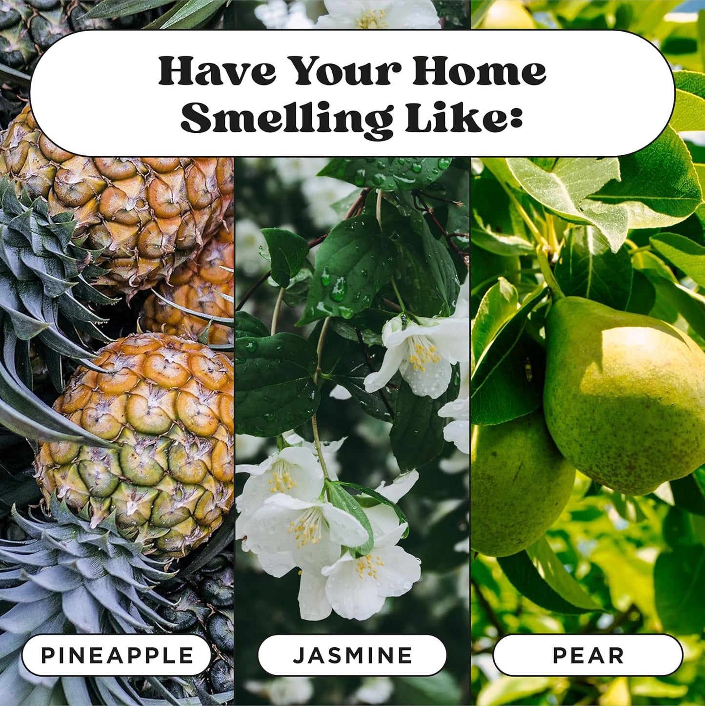 Poo-Pourri Pawsitively Fresh Pocket Deodorizer Spray – Dog & Cat Odor Remover – Plant Based Ingredients – Vet Recommended – Great for Air, Carpet, Fabric, Litter Box, Urine & Strong Pet Odors