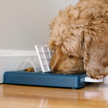 Franklin Pet Supply Co. Interactive Dog Toy + Puzzle Feeder - Dog Food + Treat Puzzle Game Set for Small, Medium + Large Dogs - Enrichment Training Toy + Slow Feeder for All Dogs
