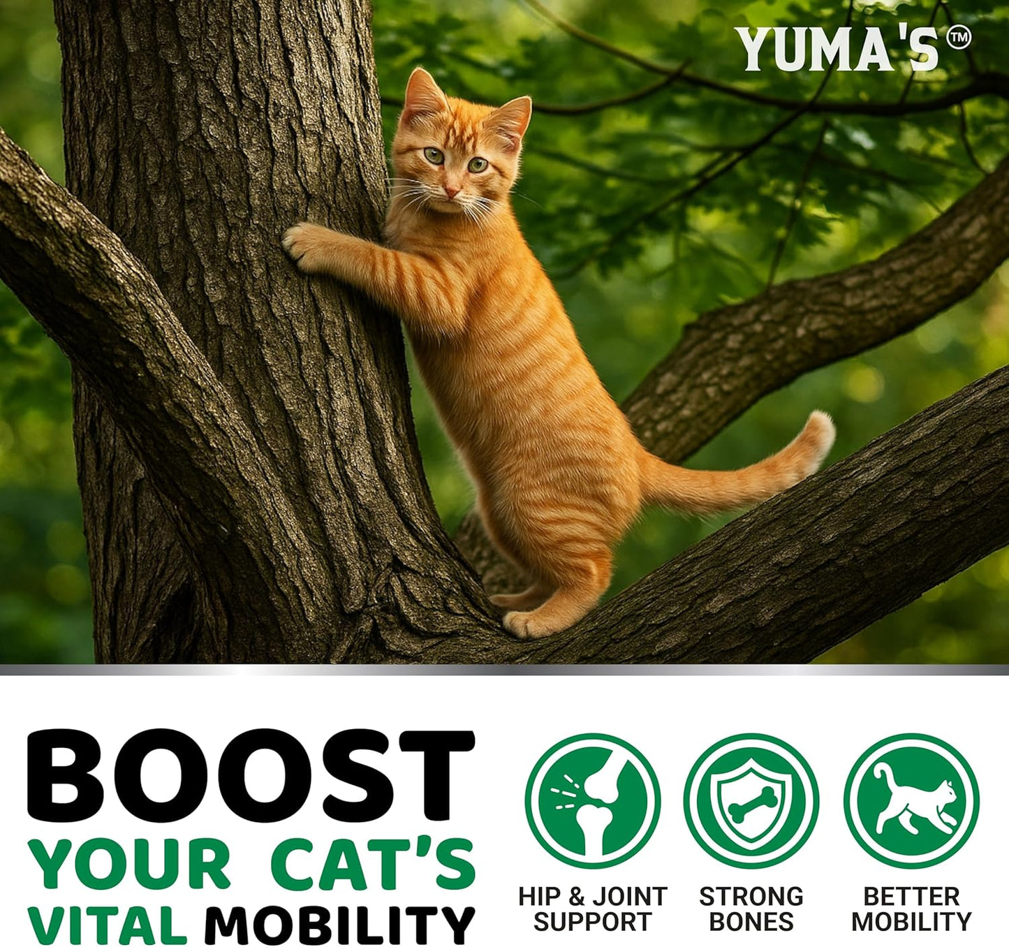YUMA'S Cat Hip and Joint Health Supplement Chews – Advanced Glucosamine for Cats – MSM, Chondroitin & Omega-3 Salmon Oil – Supports Mobility, Joint Pain Relief, Cat Vitamins for Indoor & Outdoor Cats