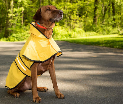 SPOT Rainy Days Slicker - Yellow Dog Rain Jacket With Hood, Reflective Strip for Safety, Leash Hole & Adjustable Velcro Belly Strap, 100% Polyester Water Resistant Pet Raincoat - Medium, 13in Long