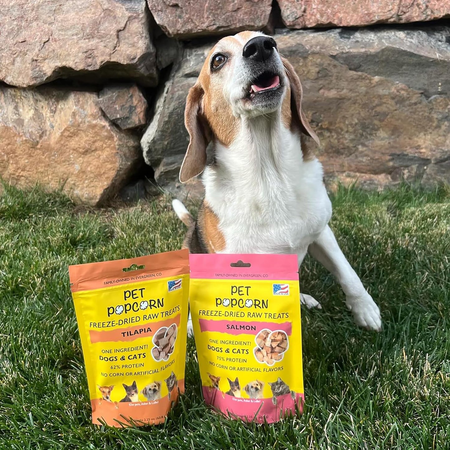 Freeze-Dried Raw Treats - Salmon - 2.5oz Bag, Dog & Cat Snacks, Single Ingredient, Natural, Pet Food Topper-Reward, Protein‑Packed Fish