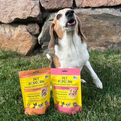 Freeze-Dried Raw Treats - Salmon - 2.5oz Bag, Dog & Cat Snacks, Single Ingredient, Natural, Pet Food Topper-Reward, Protein‑Packed Fish