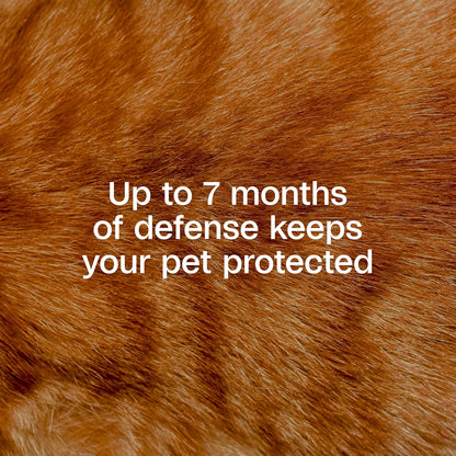 ADAMS Plus Flea & Tick Collar for Cats, Breakaway Collar, 1 White Collar, 7-Month Protection, Kills & Repels Fleas, Flea Eggs, Flea Larvae and Kills Ticks, Tick Nymphs, and Tick Larvae