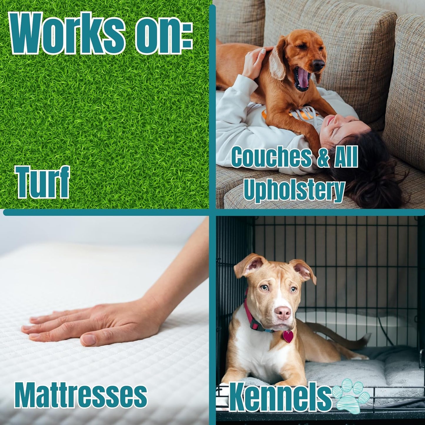 Pet Stain & Odor Remover – Fast-Acting Enzyme Cleaner for Dog & Cat Urine | Safe for Carpet, Couch, Turf, Tile & More | Non-Toxic, Kid & Pet Safe Spray