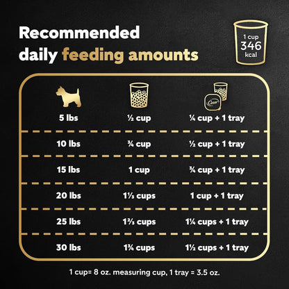 Cesar Small Breed Dry Dog Food Filet Mignon Flavor and Spring Vegetables Garnish, 12 lb. Bag