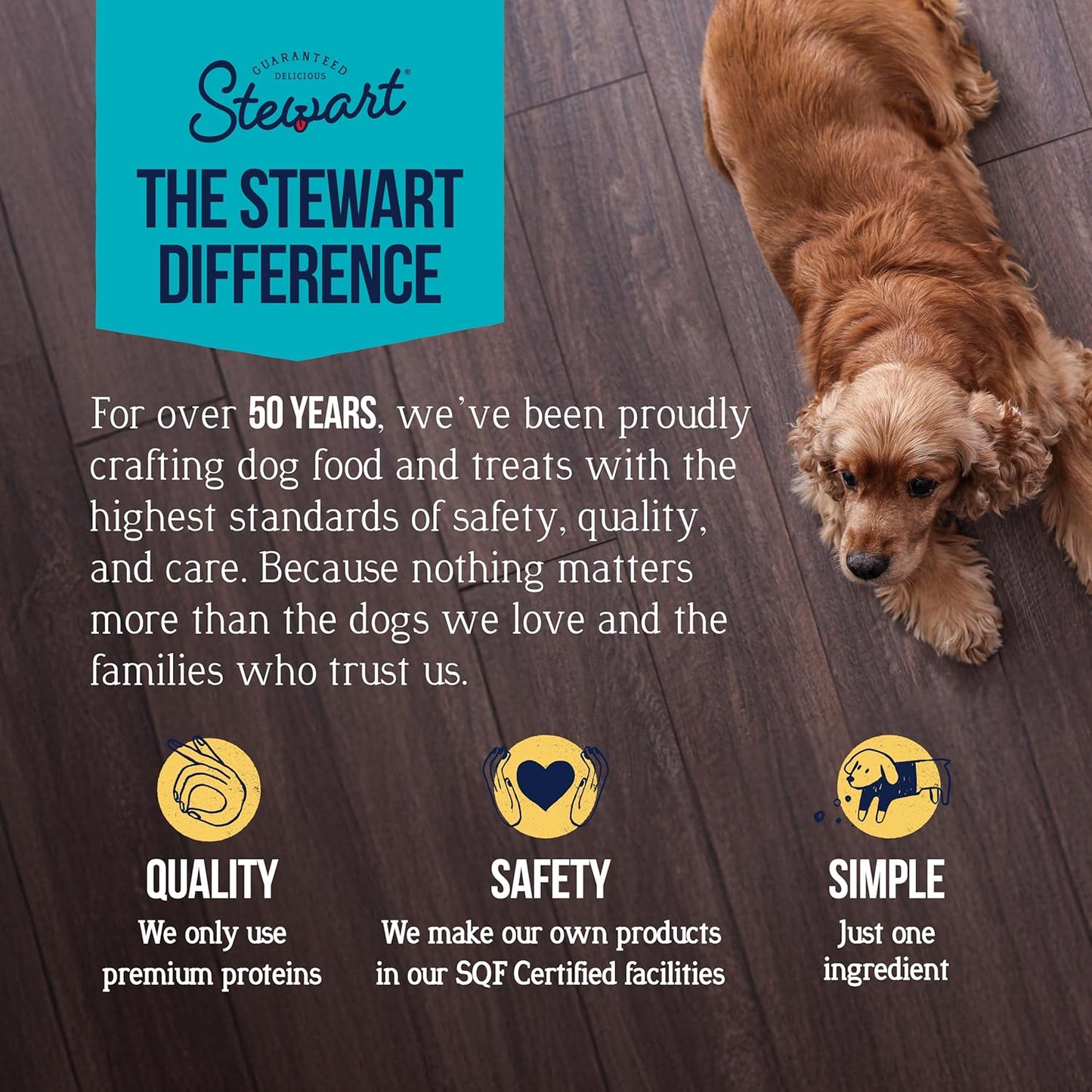 Stewart Chicken Liver Dog Treats, 3 oz, ~55 Pieces, Freeze Dried Raw, Single Ingredient, 60% Protein Training Treats or Meal Topper in a Resealable Tub, Grain Free, Gluten Free
