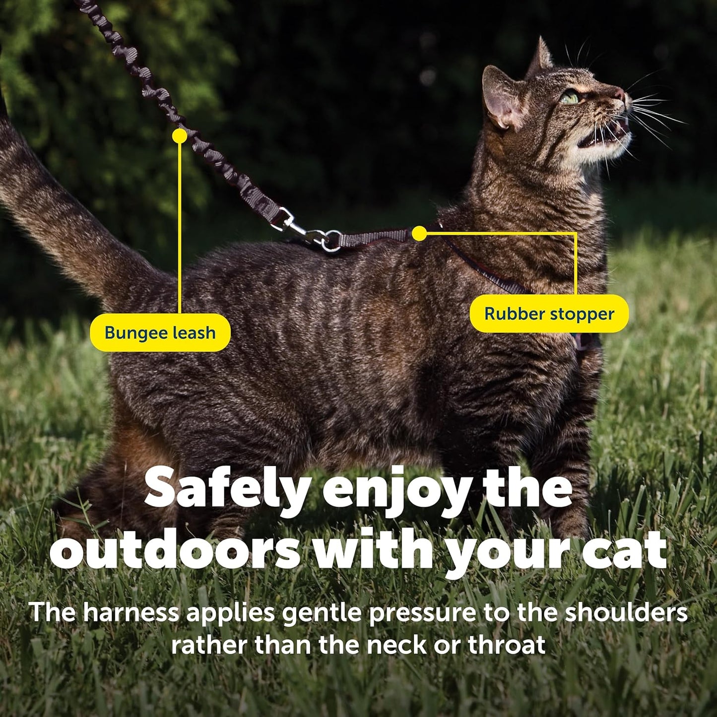 PetSafe Come with Me Kitty Harness and Bungee Leash, Large, Black