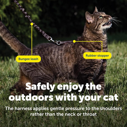 PetSafe Come with Me Kitty Harness and Bungee Leash, Large, Black
