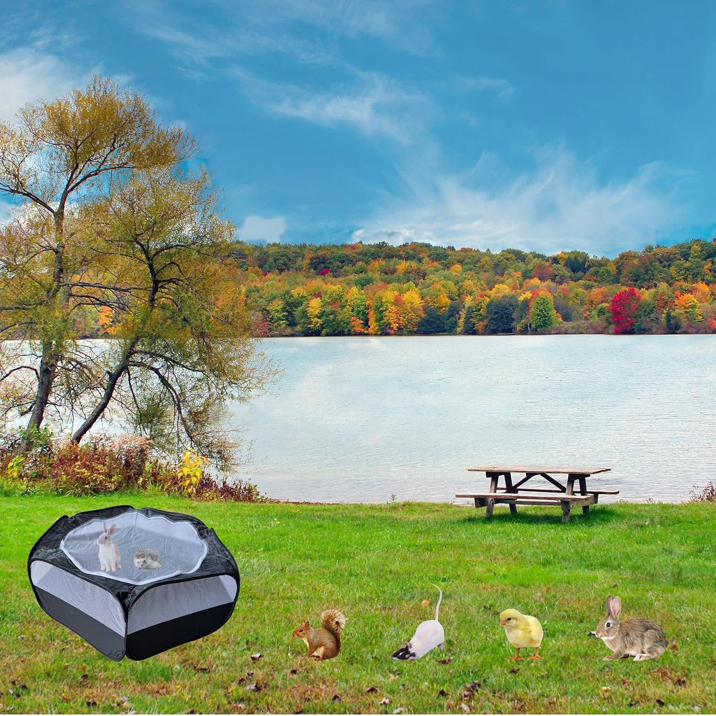 Small Animal Playpen with Zippered Mesh Cover - Portable Foldable Chicken Brooder Box, Indoor Outdoor Enclosure for Guinea Pigs, Bunny, Rabbits, Ferrets, Chinchillas, Kittens (Black)