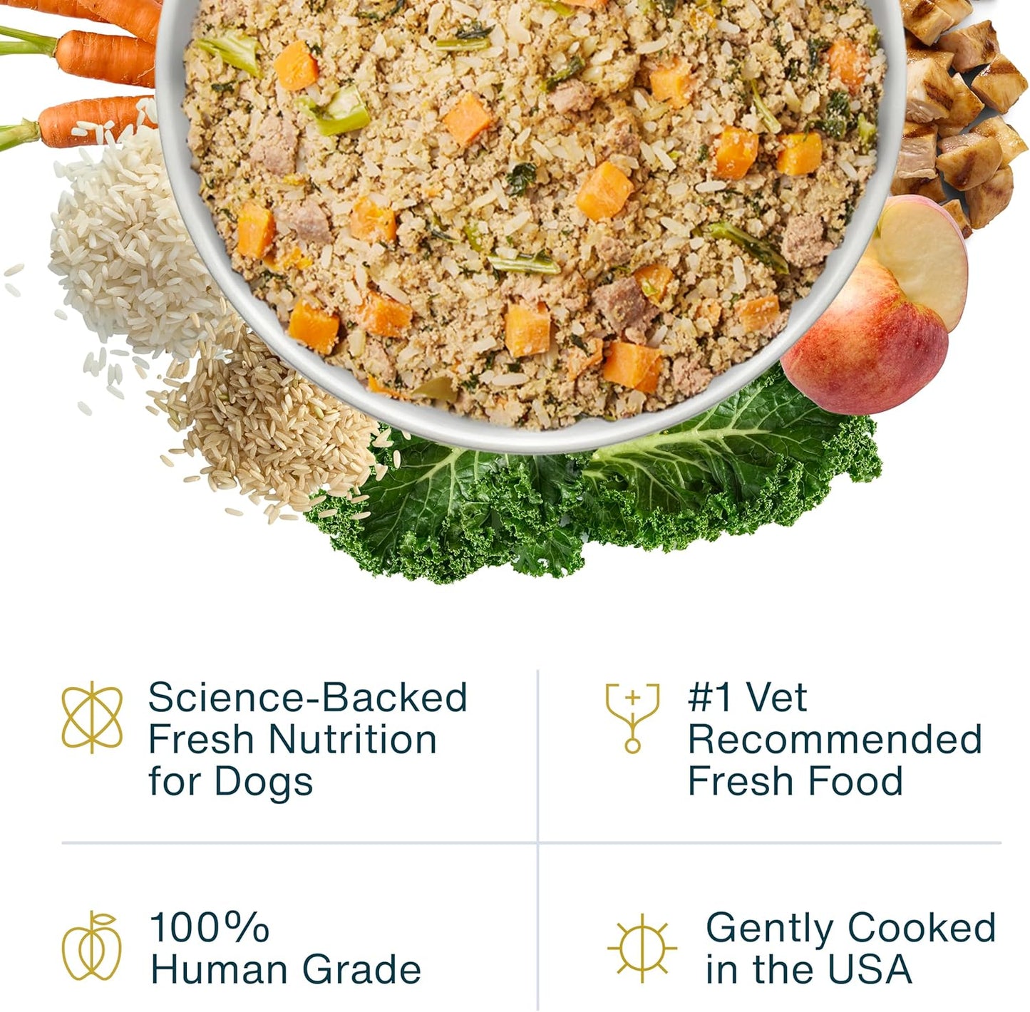 JustFoodForDogs Frozen Fresh Dog Food, Complete Meal or Topper, Chicken & Rice Human Grade Recipe, 18 oz (Pack of 7)