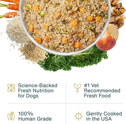 JustFoodForDogs Frozen Fresh Dog Food, Complete Meal or Topper, Chicken & Rice Human Grade Recipe, 18 oz (Pack of 7)