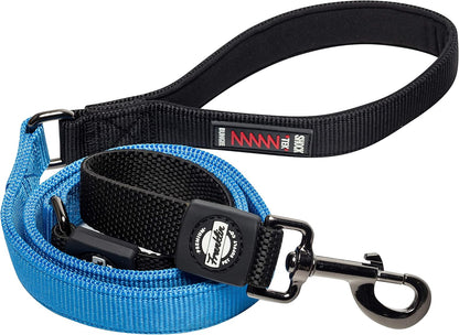 Franklin Pet Supply Co. Nylon Dog Leash - 4 Foot Dog Leash with Shok-Tek Bungee - Prevents Jumping and Pulling - Bright-Color Nylon for Night Visibility - Blue
