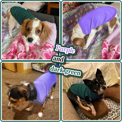 2 Pack Solid Color Dog Shirts - Lightweight, Quick Dry, Breathable Pet T-Shirts for Small to Large Dogs - Stretchy, Durable, Ideal for All Seasons and Holidays.Green Purple S