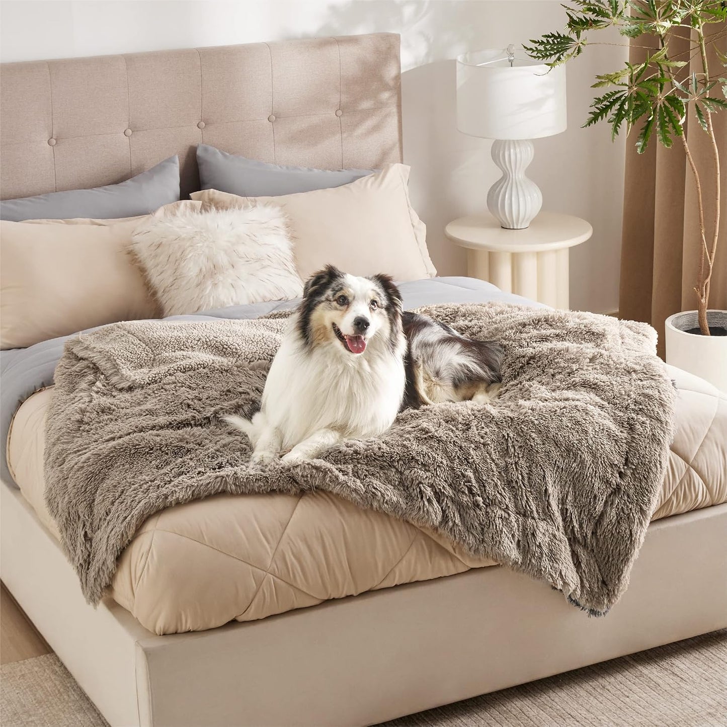 LE SURE Foldable Human Dog Bed 3 in 1 Taupe 68in with Bedsure Waterproof Dog Blankets for Large Dogs 50"x60", Brown