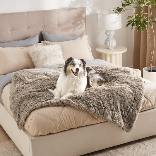 LE SURE Foldable Human Dog Bed 3 in 1 Taupe 68in with Bedsure Waterproof Dog Blankets for Large Dogs 50"x60", Brown