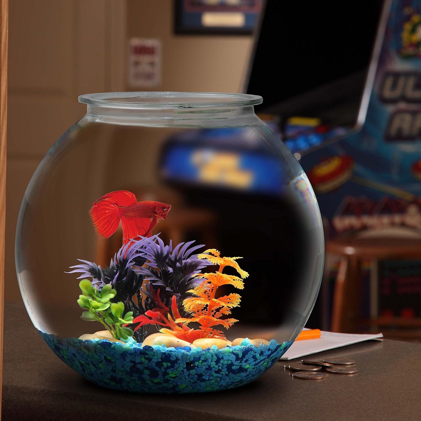 Aquatic Wonder 1 Gallon Fish Bowl: Round Crystal Clear Plastic is Break-Resistant and Light Weight. Ideal for Betta Fish Aquarium, Home décor and Party Drinks